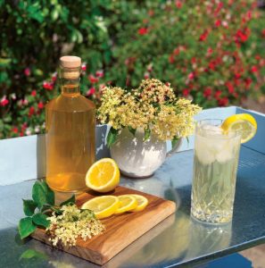 Elderflower Cordial